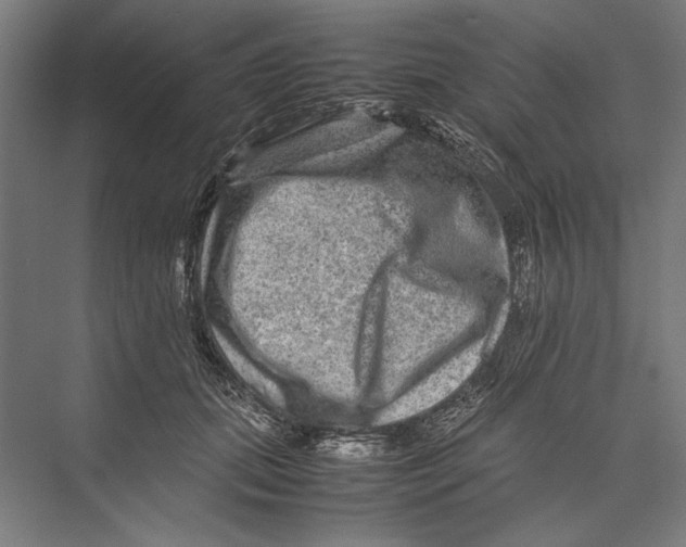 X0000075380655200610061840