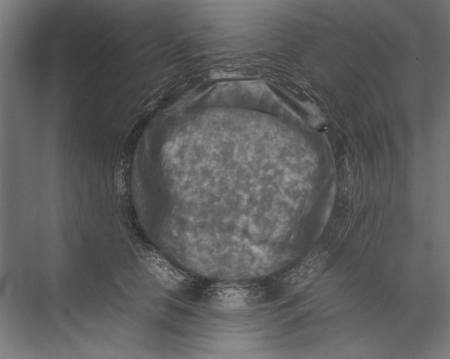 X0000075380658200610061840