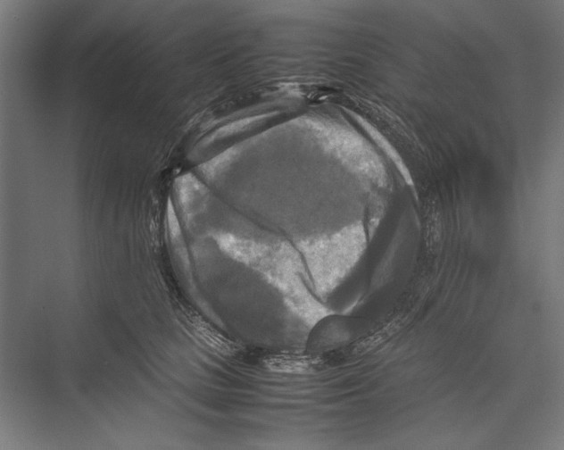 X0000075380661200610061840