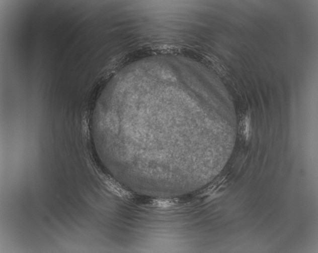 X0000075380662200610061840