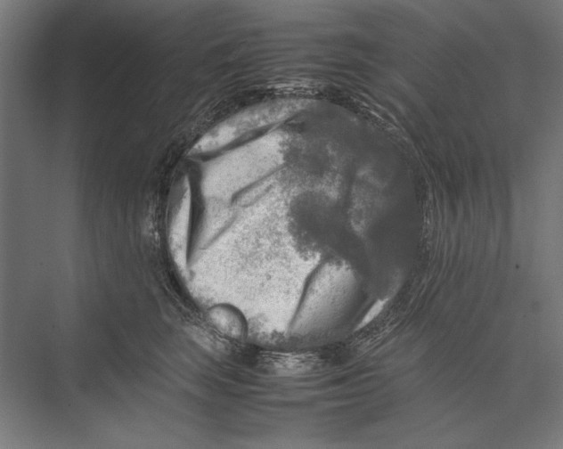 X0000075380663200610061840