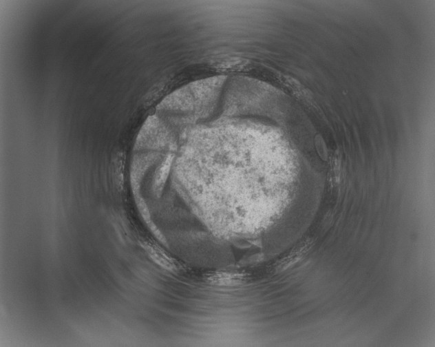 X0000075380664200610061840