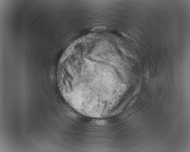 X0000075380665200610061840