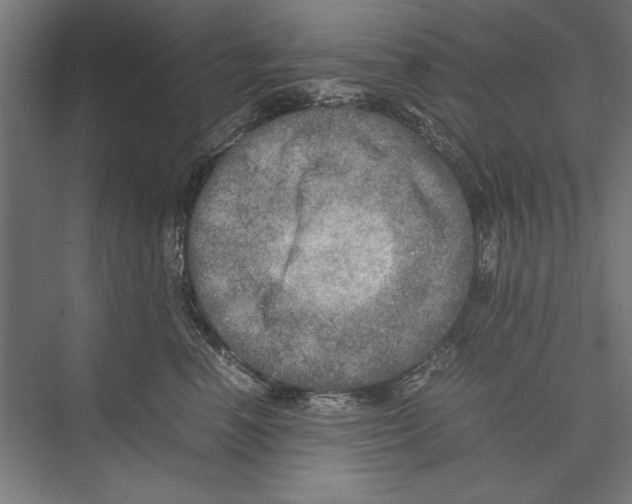 X0000075380666200610061840