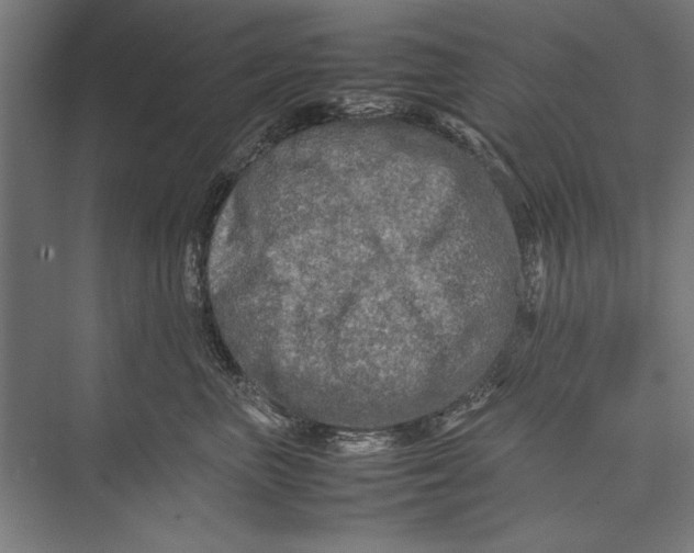 X0000075380667200610061840