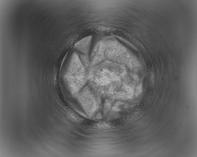 X0000075380668200610061840