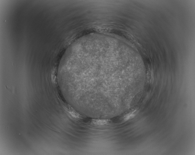 X0000075380671200610061840