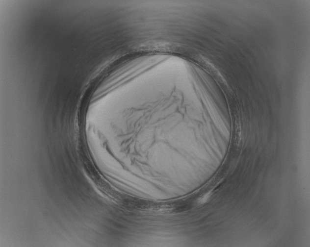 X0000075380674200610061839