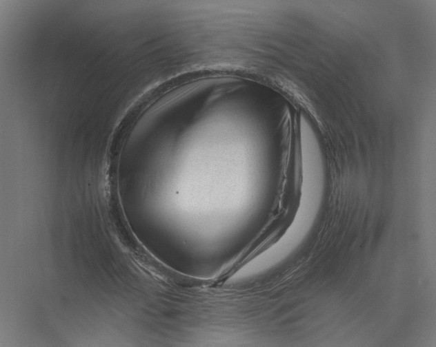 X0000075380676200610061839