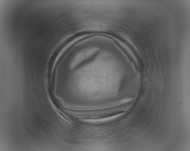 X0000075380677200610061839