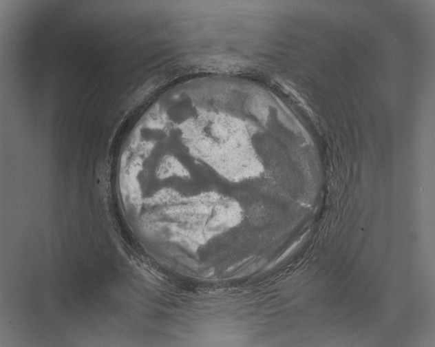 X0000075380679200610061839