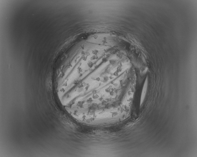 X0000075380681200610061839