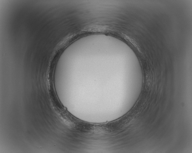 X0000075380682200610061839