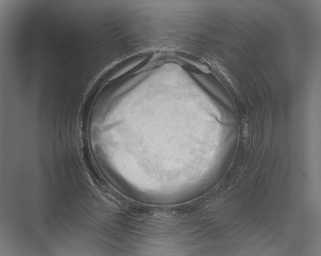 X0000075380684200610061839