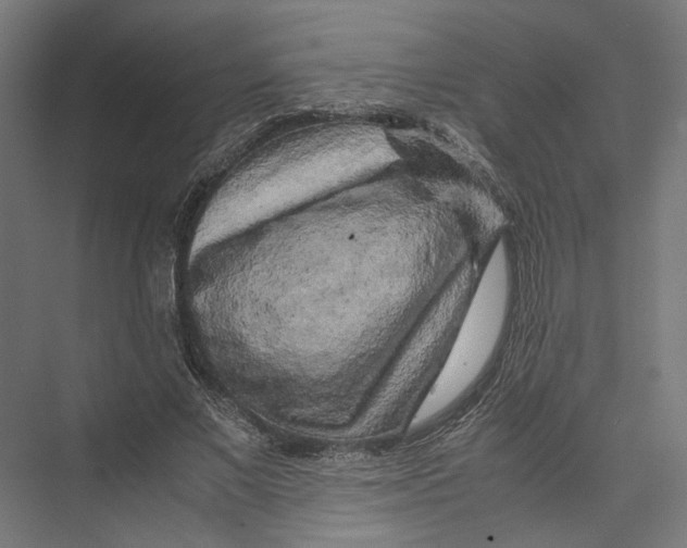 X0000075380685200610061839