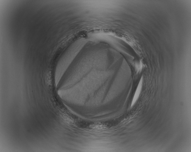 X0000075380689200610061839