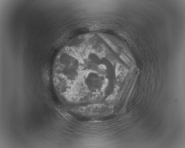 X0000075380691200610061839