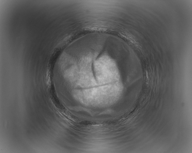 X0000075380692200610061839