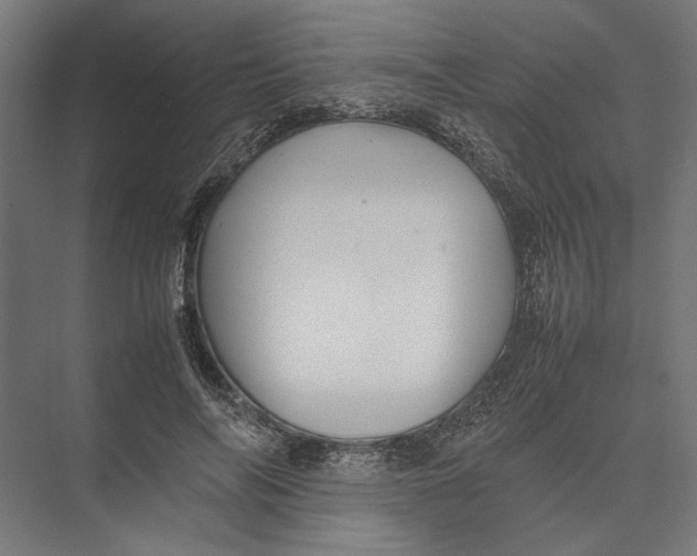 X0000075380694200610061839