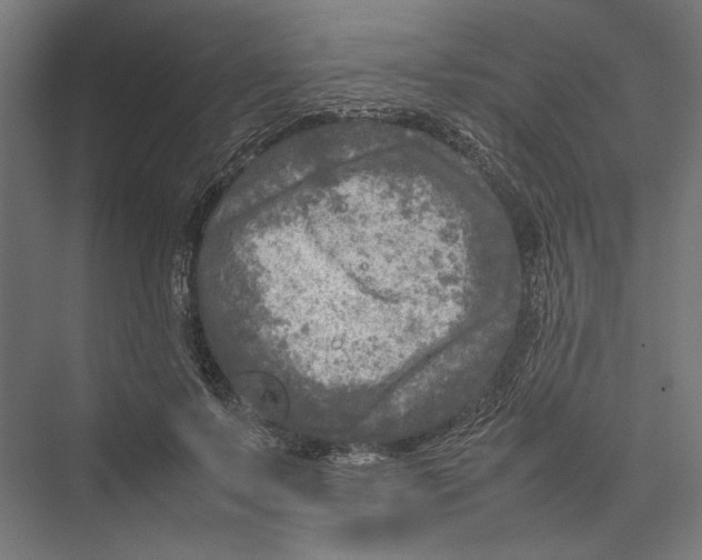 X0000075380695200610061839