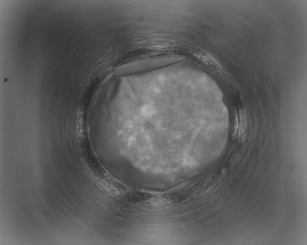 X0000075380696200610061839