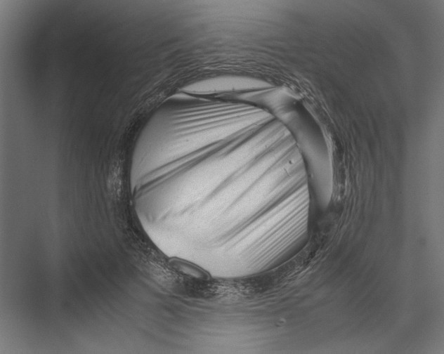 X0000075380697200610061839