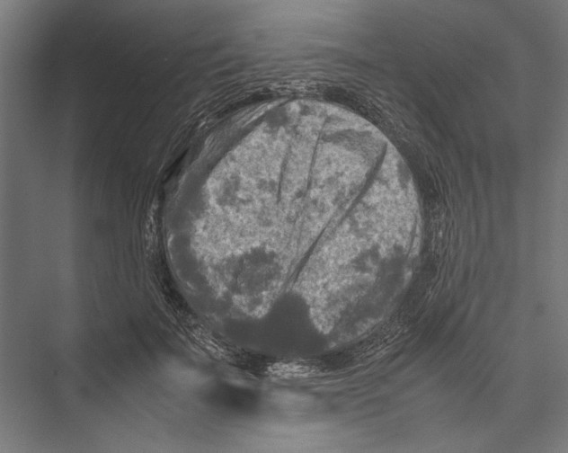 X0000075380699200610061839