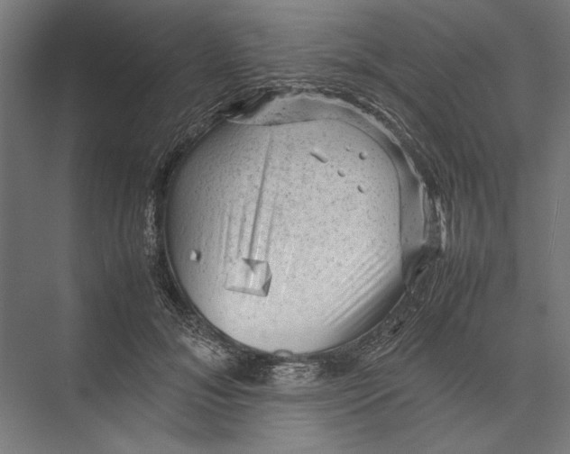 X0000075380700200610061839