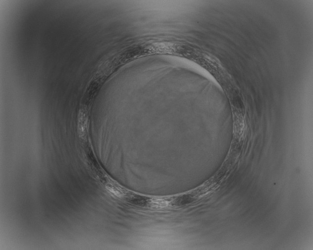 X0000075380701200610061839