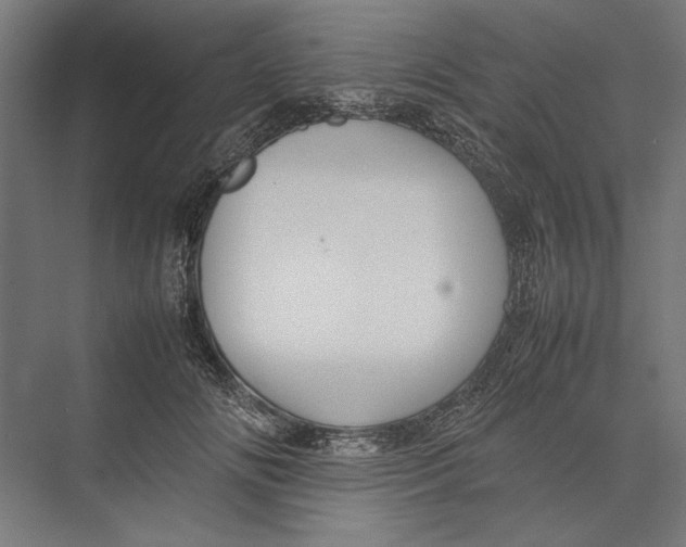 X0000075380702200610061839