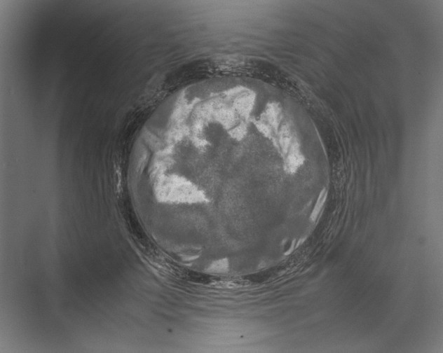 X0000075380703200610061839