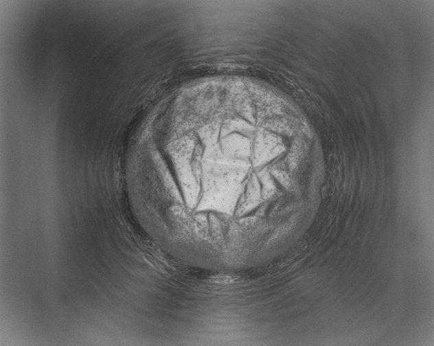 X0000075380704200610061839