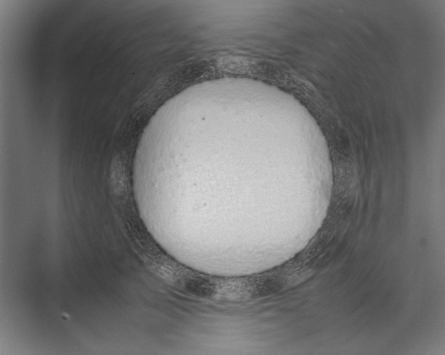 X0000075380705200610061839