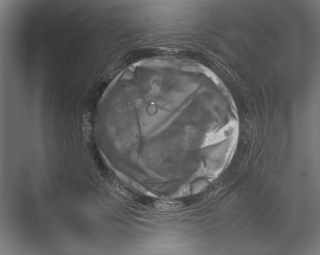 X0000075380707200610061839