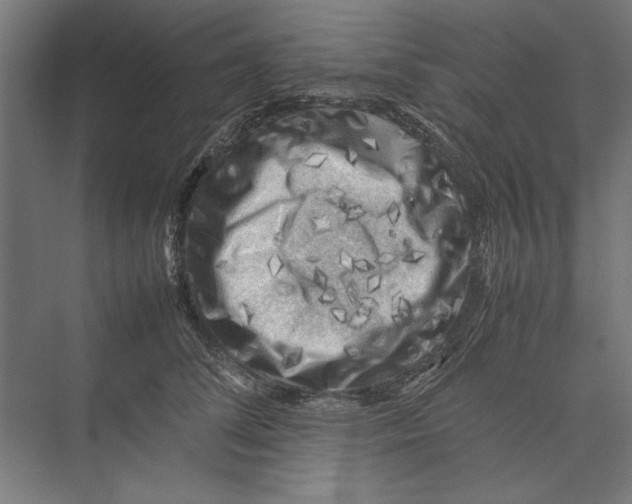 X0000075380708200610061839