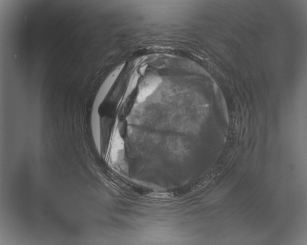 X0000075380711200610061839