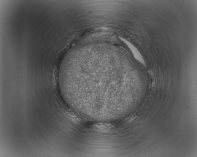 X0000075380712200610061839