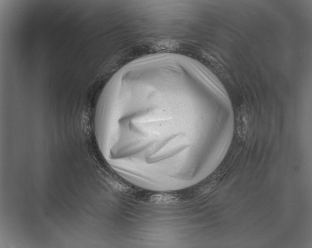 X0000075380714200610061839