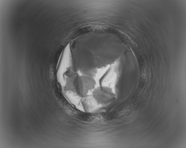 X0000075380715200610061839