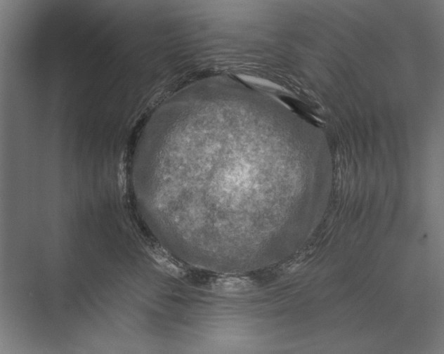 X0000075380716200610061839