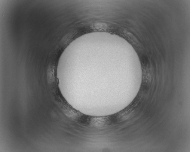 X0000075380717200610061839