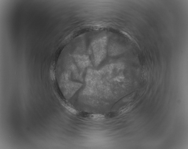 X0000075380719200610061839