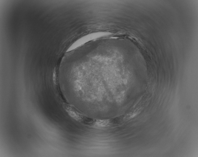 X0000075380720200610061839