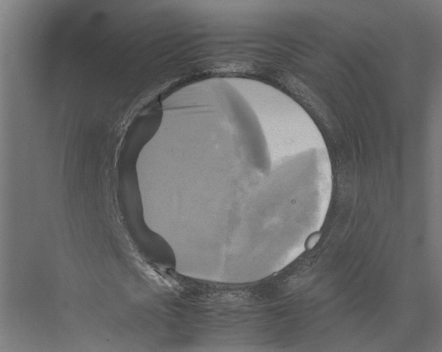 X0000075380721200610061838