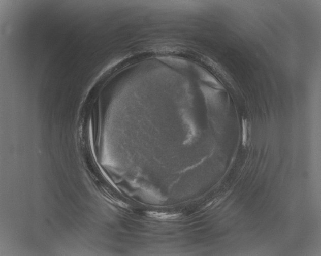 X0000075380723200610061838