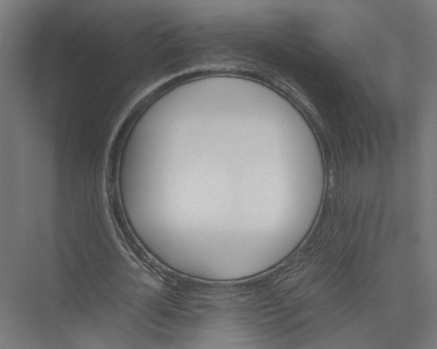 X0000075380724200610061838