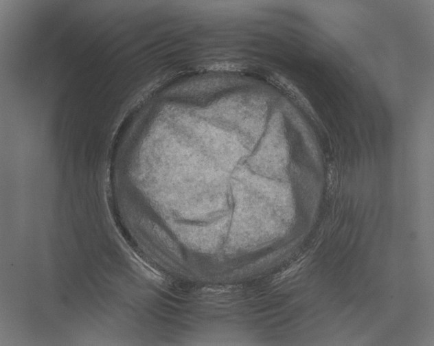 X0000075380725200610061838