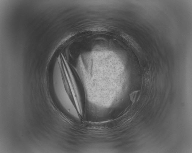 X0000075380727200610061838