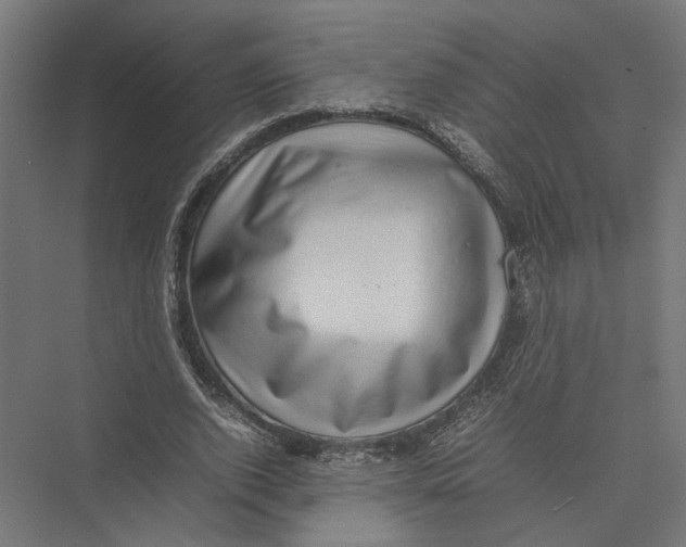 X0000075380728200610061838