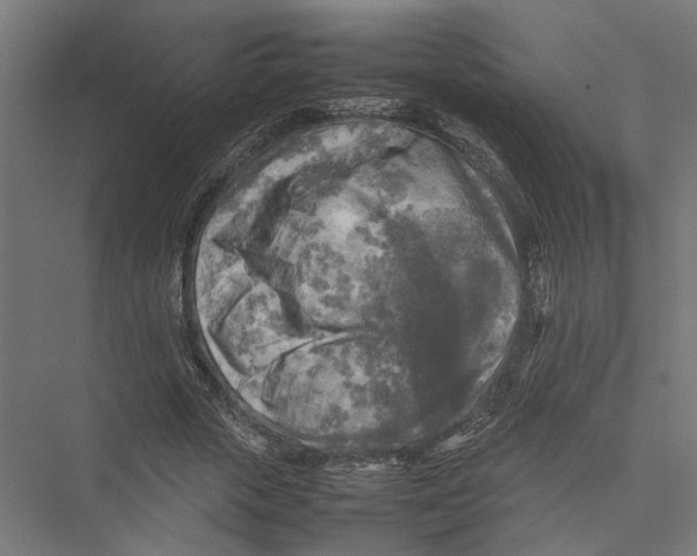 X0000075380729200610061838